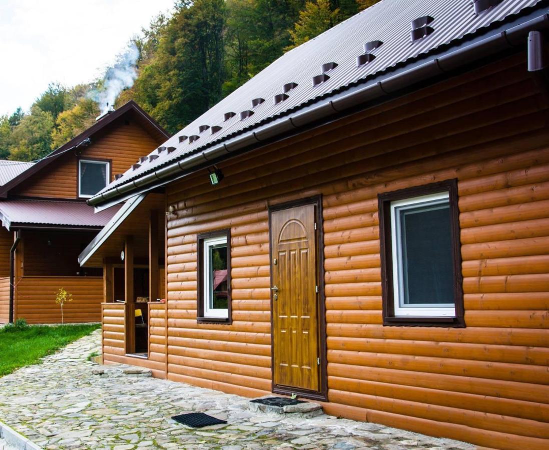Bieszczadzki Klin Bklin Villa Cisna Exterior photo